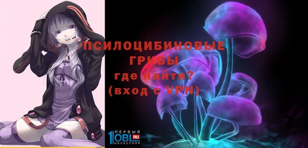 спайс Богородицк