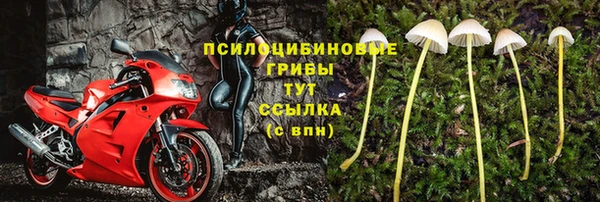 амфетамин Богданович